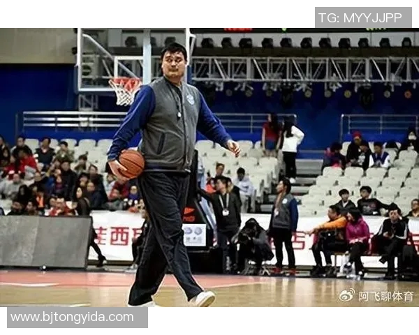 湖州姚明雅的传奇人生与篮球梦想的交汇点探寻