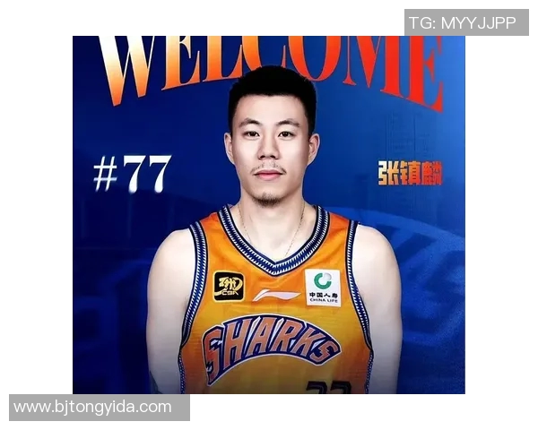 CBA篮球明星签名篮球热销背后的故事与球迷的热情互动